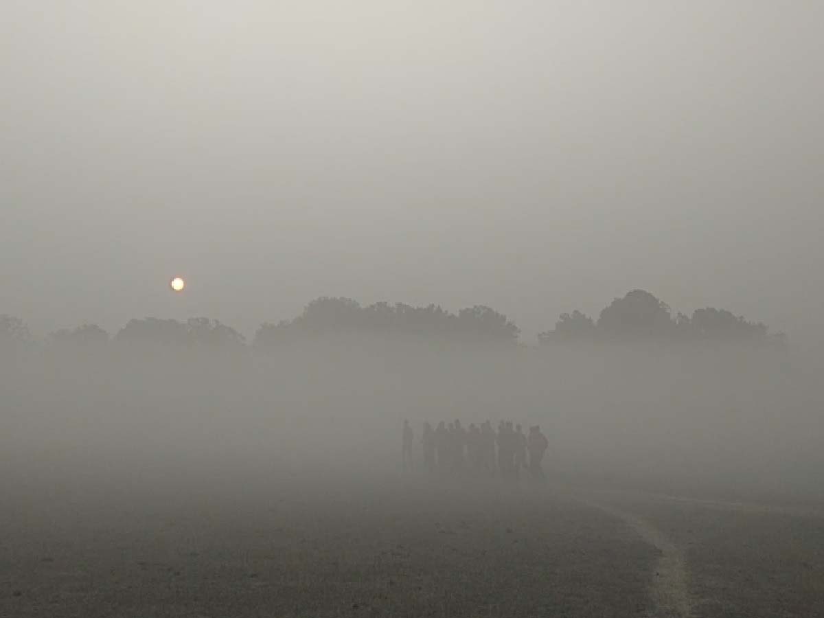 तापमान में गिरावट के चलते उत्तर भारत में सीजन का पहला घना कोहरा नजर आया