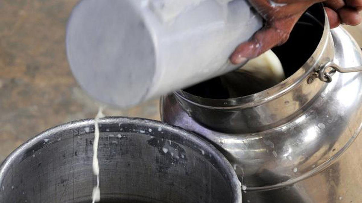 उत्तर प्रदेश के ग्रेटर नोएडा वेस्ट की एक सोसाइटी में लोग दूध चोरी होने में मामले आये 