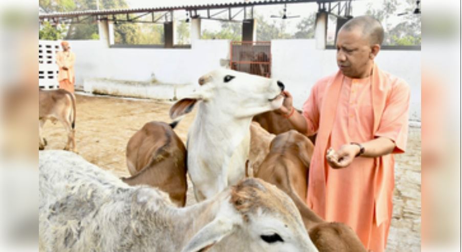सीएम योगी के नेतृत्व में 8 साल में प्रदेश ने विकास की नई लकीर खींची, गोसेवा से बन रहे आत्मनिर्भर